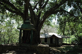 The old Hindu temple